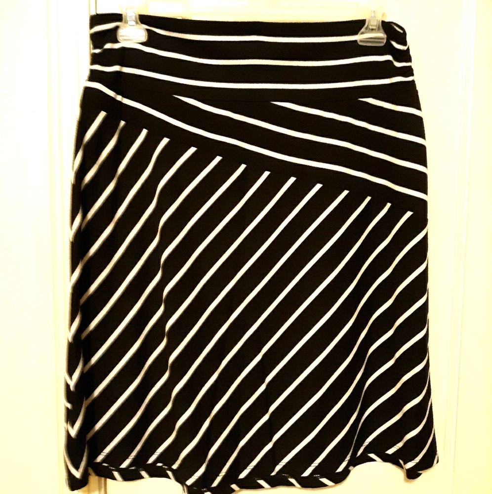 Faded Glory Skirt